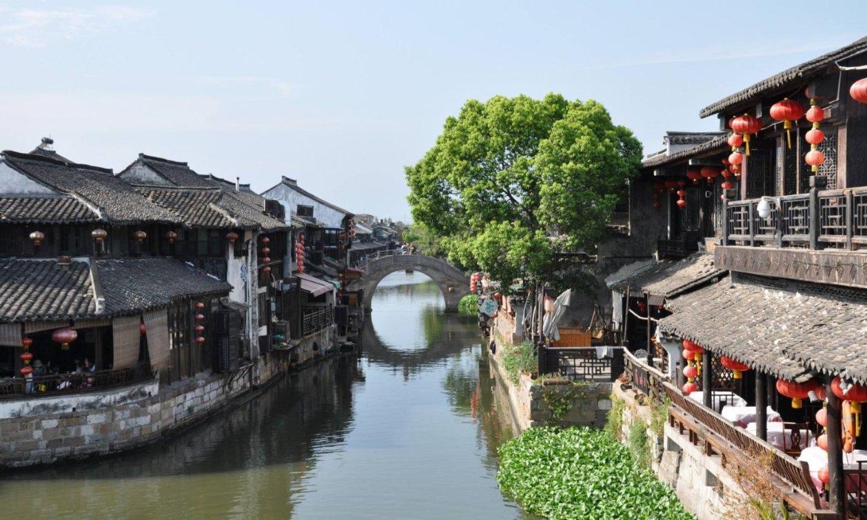 饥饿的哈利